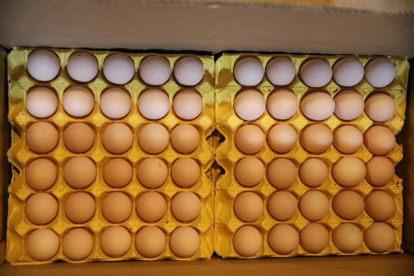 微信圖片_2025-12-08_161720_485