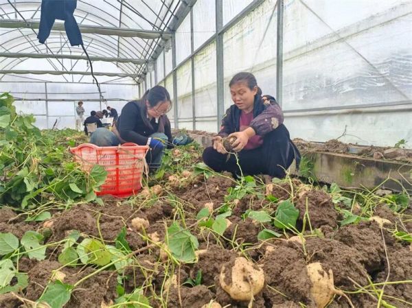 微信圖片_2025-12-08_162435_332