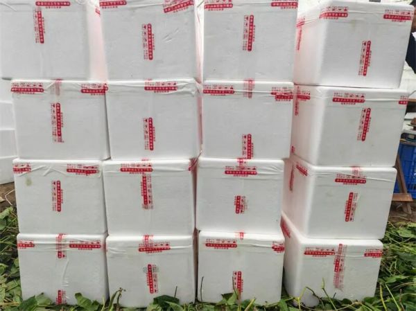 微信圖片_2025-12-08_162454_117