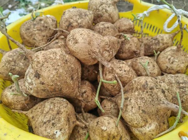 微信圖片_2025-12-08_162503_474