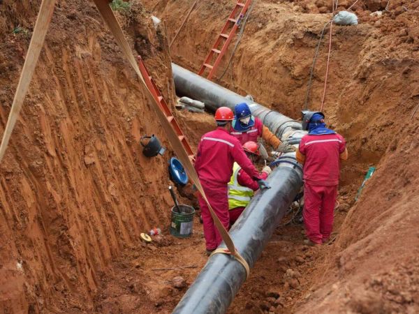 微信圖片_2025-12-08_174746_995