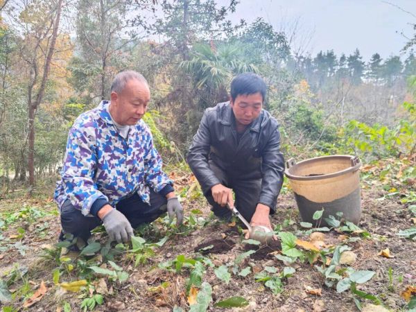 微信图片_2025-12-08_231237_265