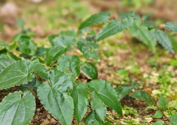 微信图片_2025-12-08_231247_457