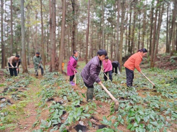 微信图片_2025-12-08_231259_111