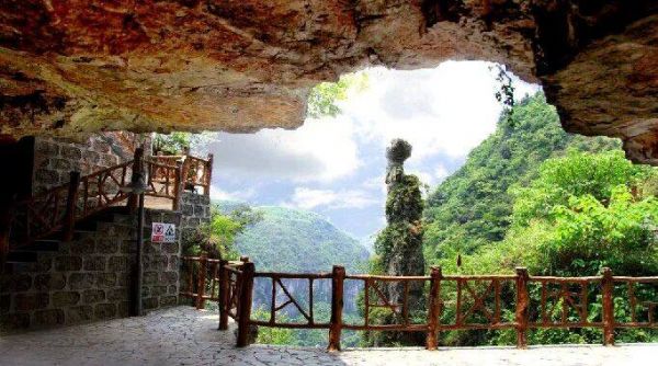 微信图片_2025-12-08_231951_411