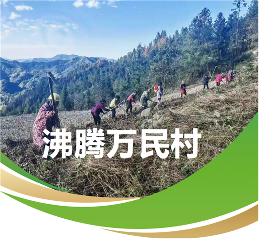 微信图片_20251210210340_1572_2