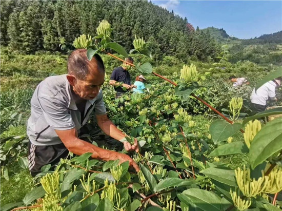 看，这是奋进的万民村！