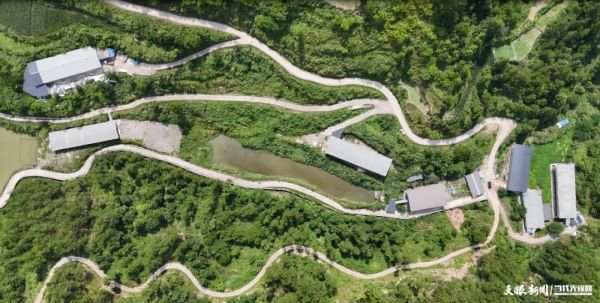 微信圖片_20251211164459_517_4