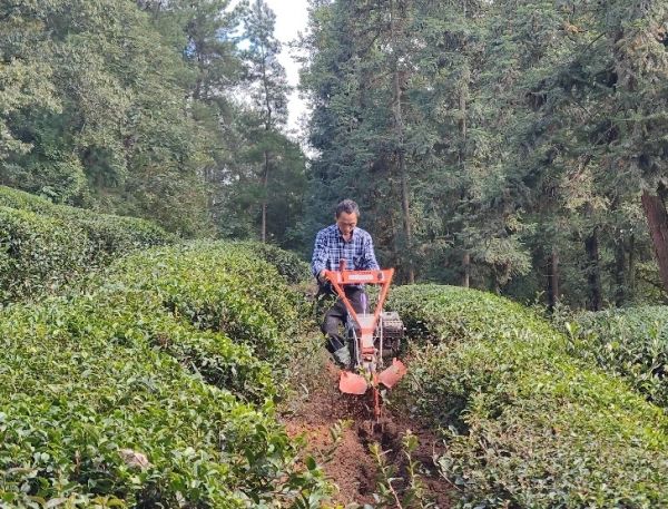 微信圖片_20251211170908_520_4