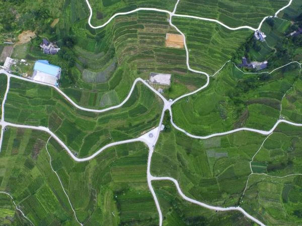 微信圖片_20251211170910_522_4