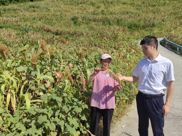 精准赋能提质效 精细服务促振兴——沿河农信联社助力县域高质量发展