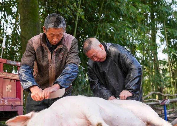 微信图片_2025-12-14_194211_515