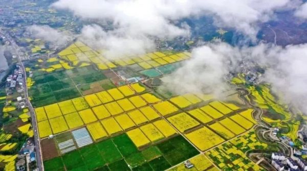 《农民日报》头条关注铜仁：在武陵山间播撒“共富种子”！