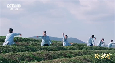 《踏歌·茶韻回響》：在貴州銅仁舞起來是茶香四溢的