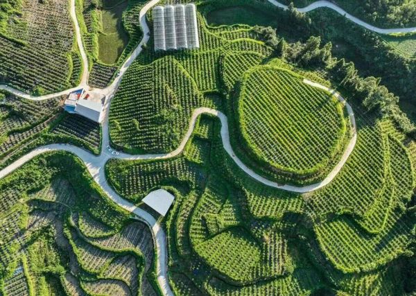 微信图片_2025-12-17_103142_037