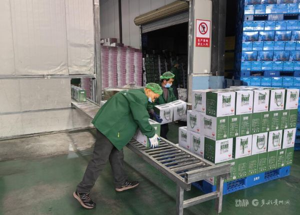 微信圖片_2025-12-17_170542_206