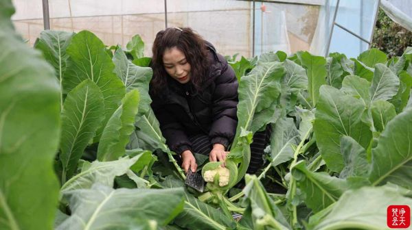 微信图片_2025-12-17_171310_358