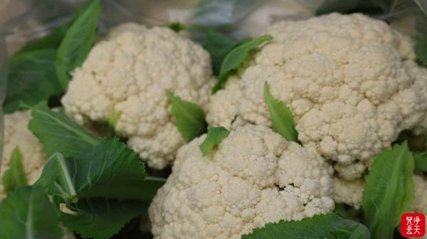 微信图片_2025-12-17_171325_799