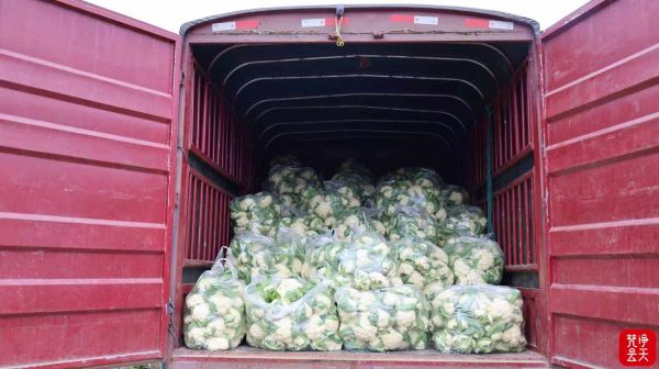 微信图片_2025-12-17_171333_477