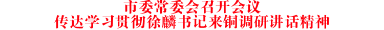 市委常委会召开会议传达学习贯彻徐麟书记来铜调研讲话精神
