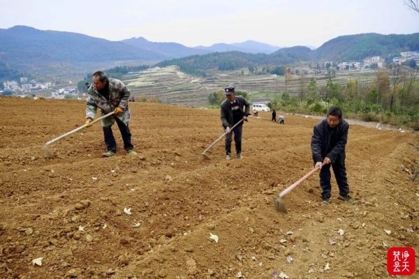 微信圖片_2025-12-20_163811_845