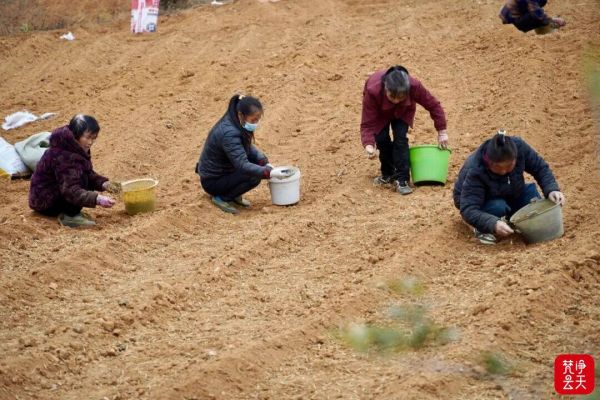 微信圖片_2025-12-20_163803_021