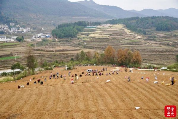 微信圖片_2025-12-20_163827_385