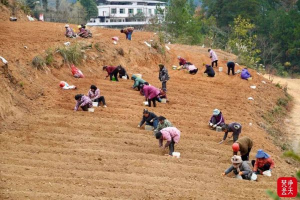 微信圖片_2025-12-20_163819_477