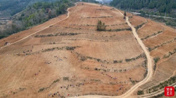 微信圖片_2025-12-20_163858_956