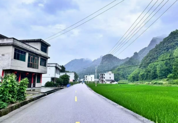 微信圖片_2025-12-20_165737_409