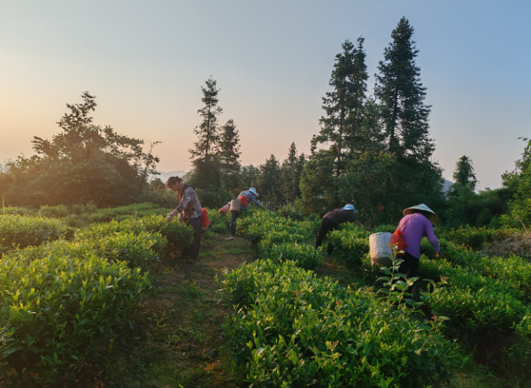 微信圖片_2025-12-20_165752_330