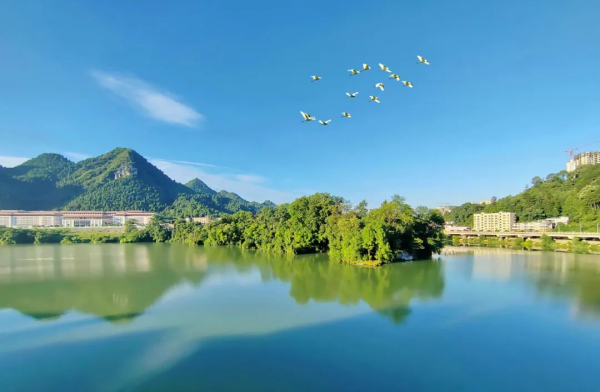 微信圖片_2025-12-20_222334_799