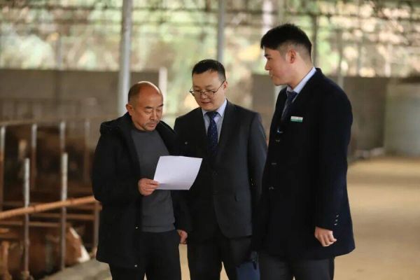 微信图片_2025-12-23_120931_409