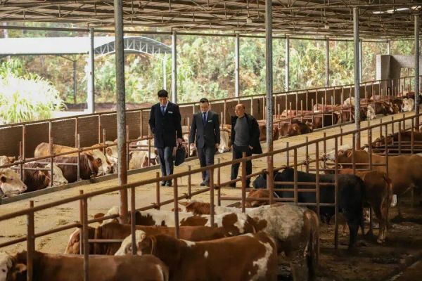 微信图片_2025-12-23_120950_946