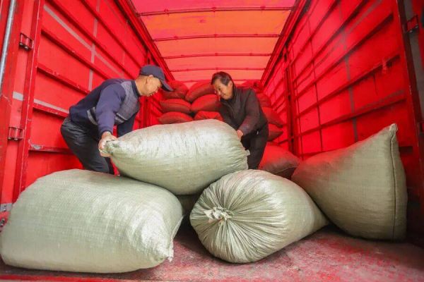 微信图片_2025-12-23_121001_044