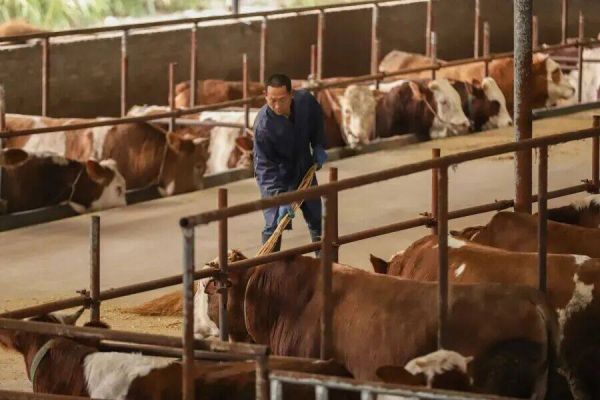 印江：金融活水润乡野 产业振兴谱新篇