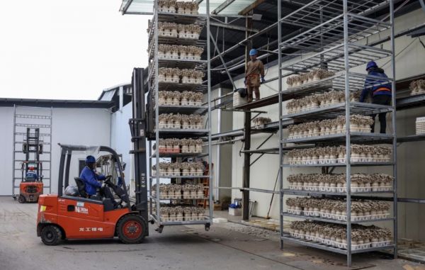 微信图片_20251223232811_603_4