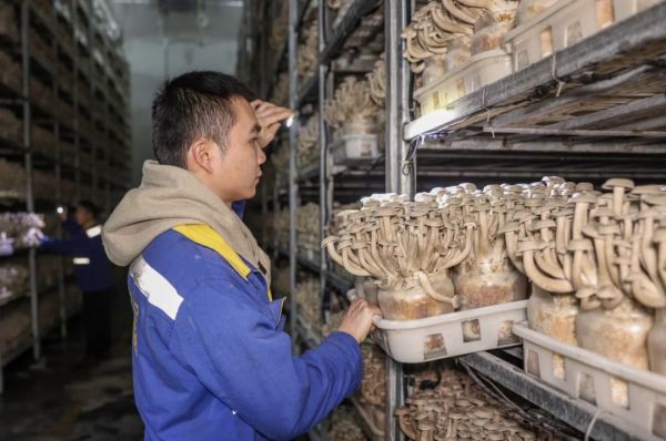 微信图片_20251223232812_604_4