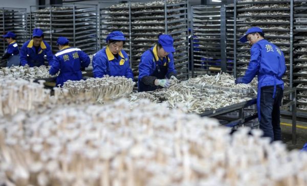 微信图片_20251223232813_605_4