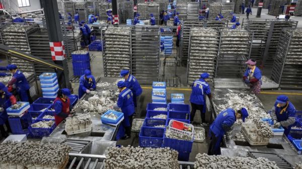 微信图片_20251223232814_606_4