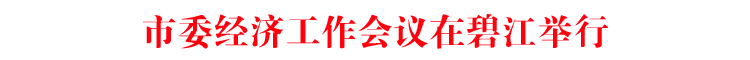 市委经济工作会议在碧江举行
