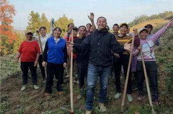 杨飞：扎根乡村践初心 倾情奉献促振兴