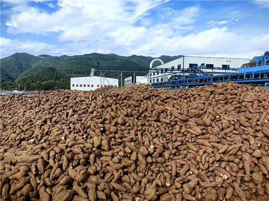 微信图片_2026-01-03_105353_558