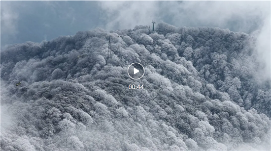 微信图片_20260103143703_1686_2