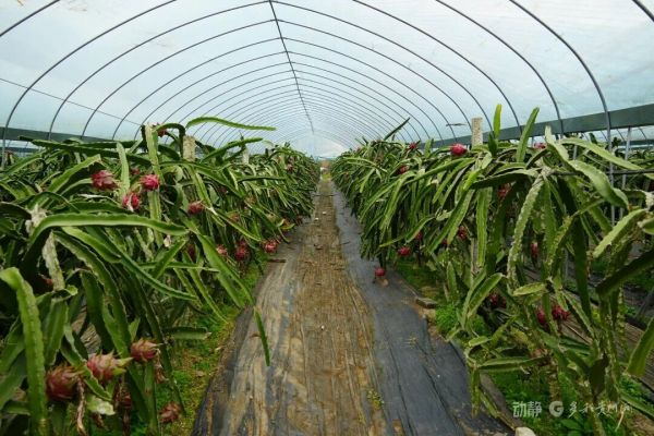 微信图片_2026-01-07_100344_505