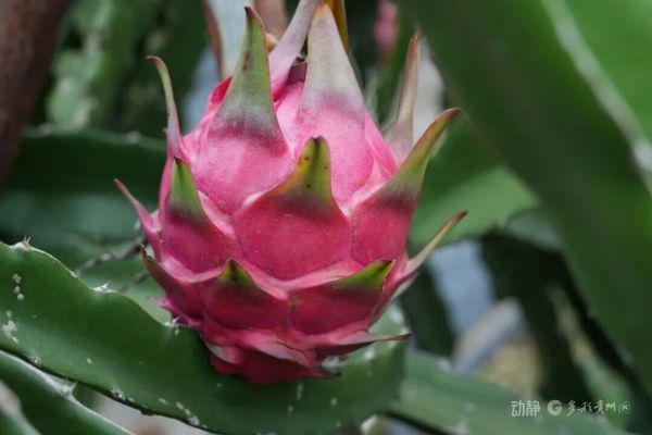 微信图片_2026-01-07_100351_726