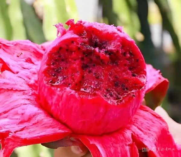 微信图片_2026-01-07_100421_865