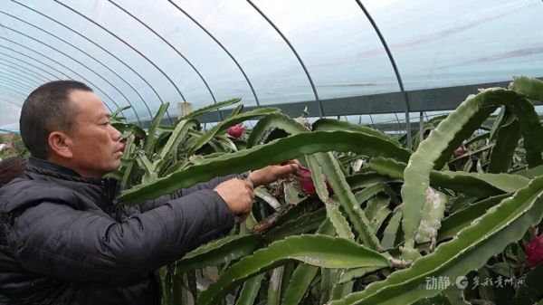 微信图片_2026-01-07_100430_004