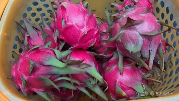 微信图片_2026-01-07_100440_047