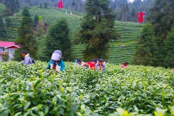 微信图片_2026-01-07_165014_060